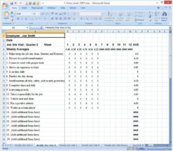 Employee Evaluation Sample Sheet